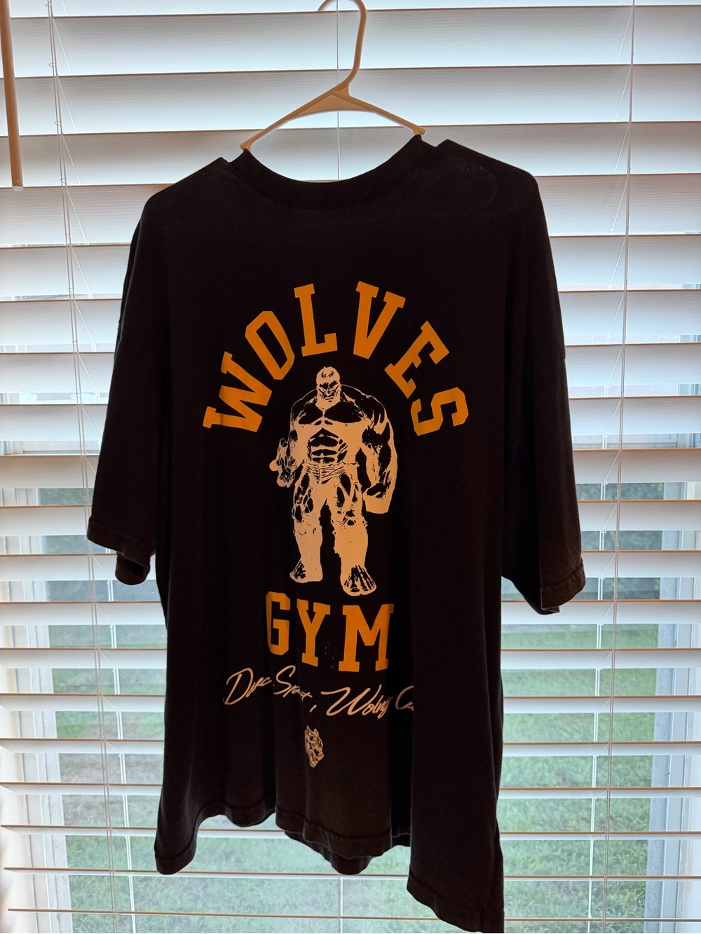 Darc Sport Wolves Gym Graphic T-Shirt - Black/Gold